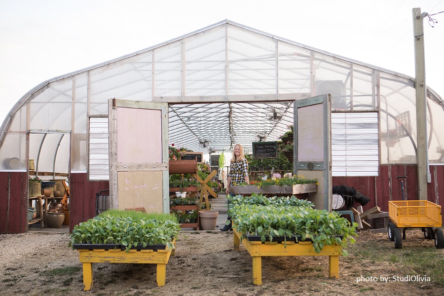 Aunt Beez Greenhouse