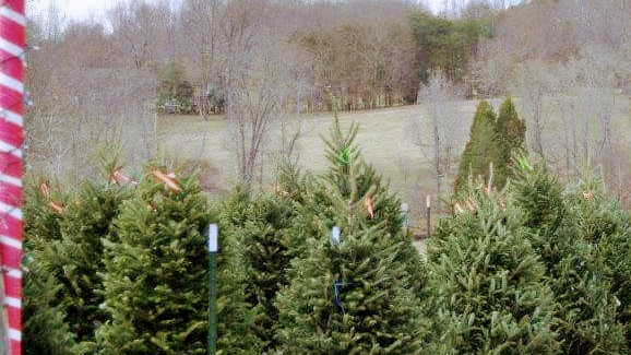 Owen Farm Tours, LLC photo 2