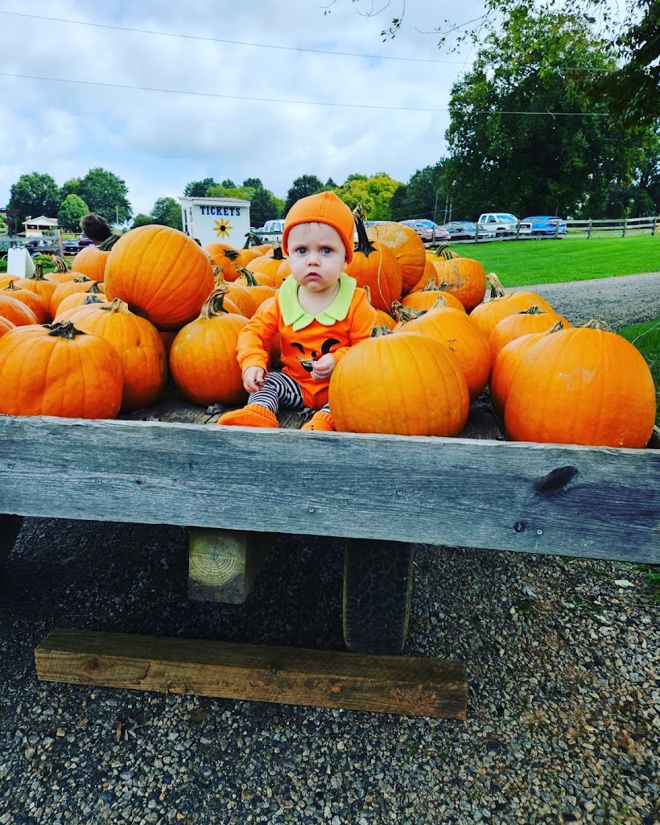 Owen Farm Tours, LLC photo 3