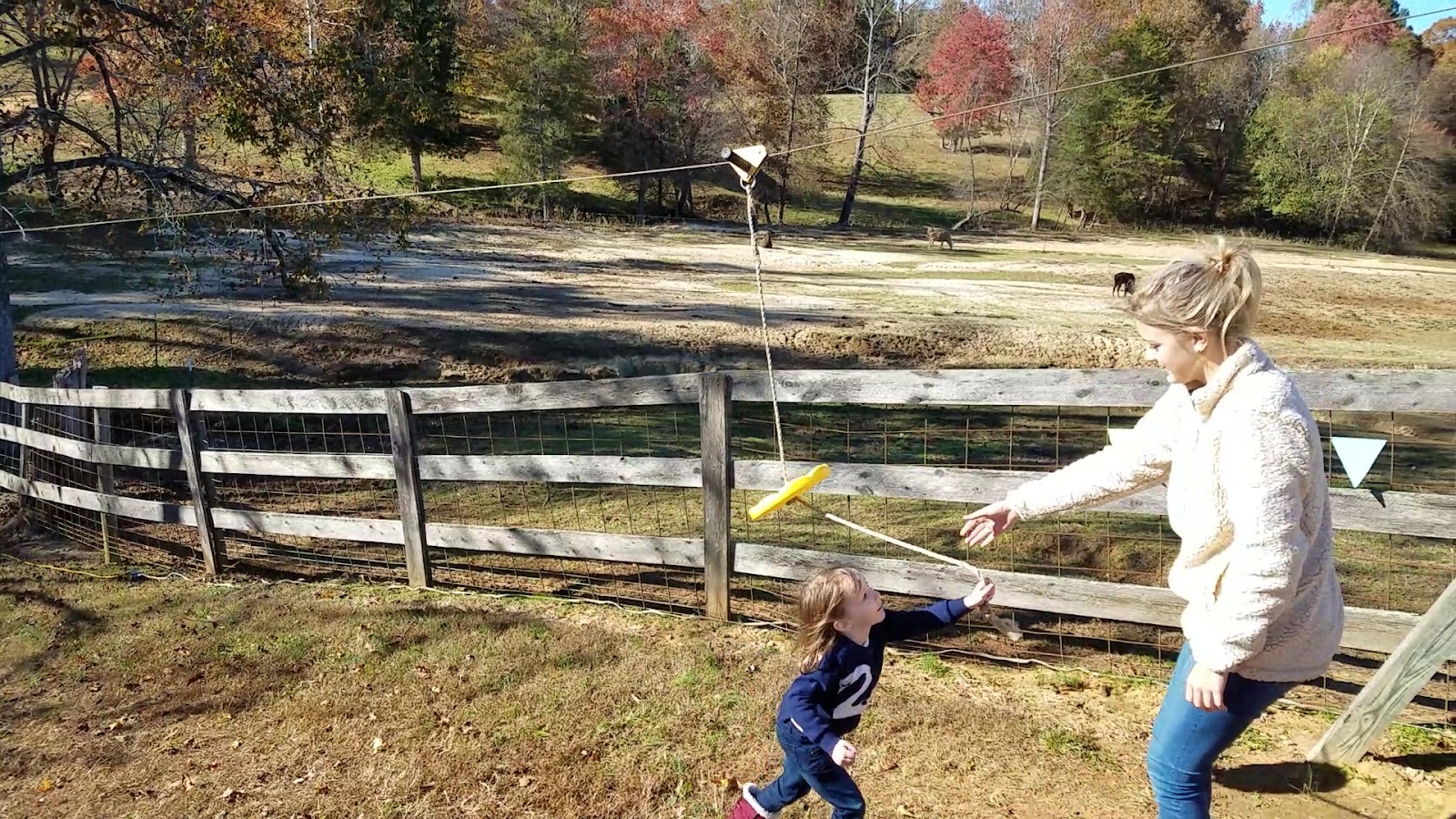 Owen Farm Tours, LLC photo 4