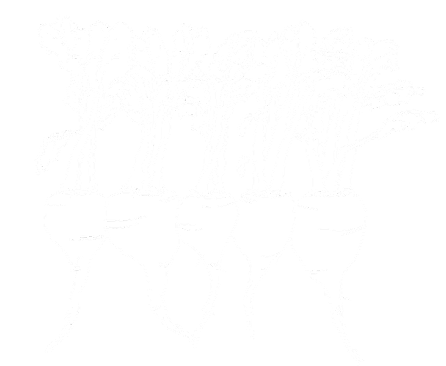 Sandy Spring Gardens