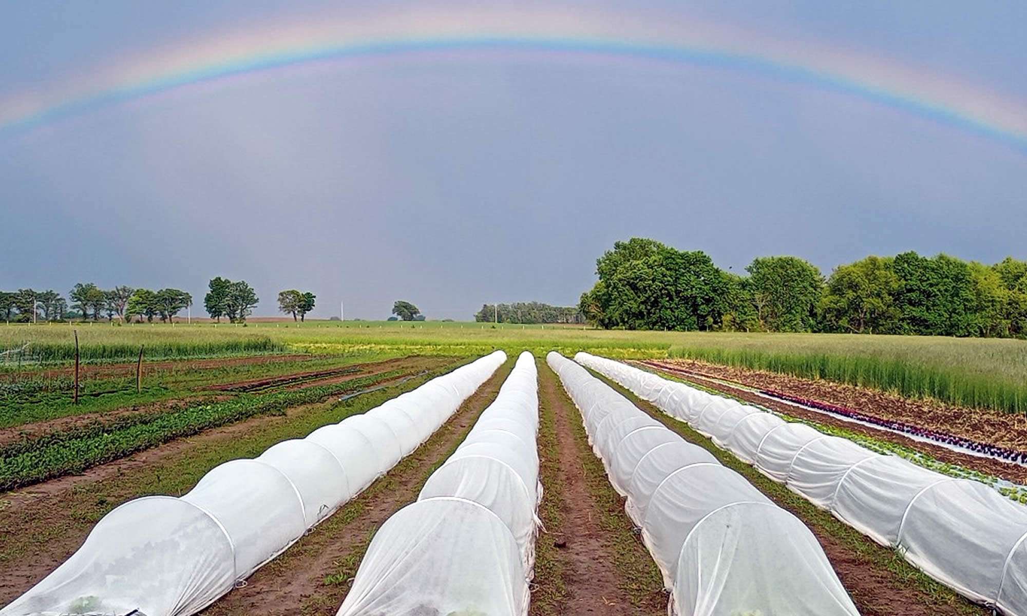 Olden Organics Farm