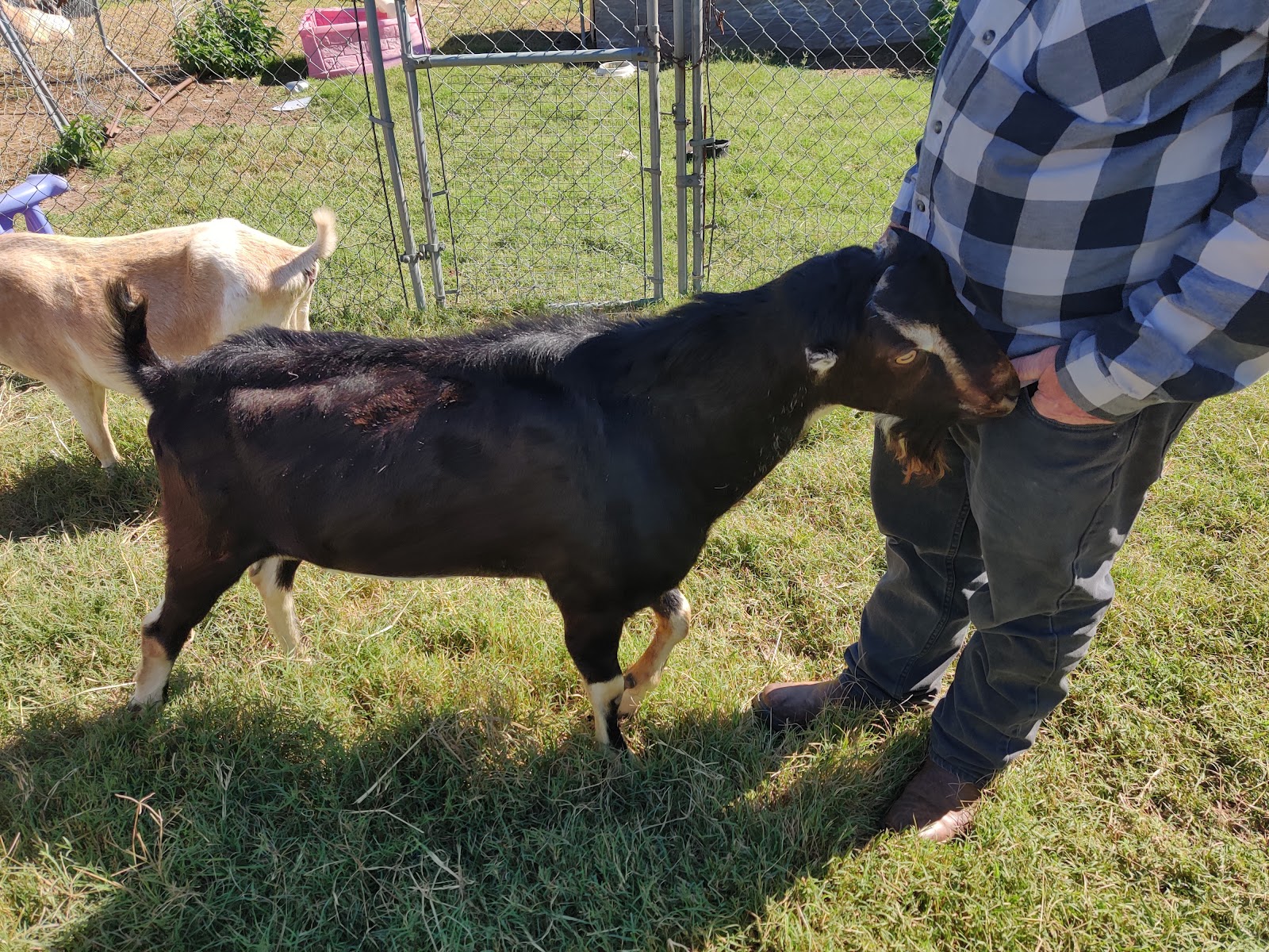 *CLOSED* Hickory Hollow Homestead photo 2