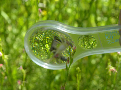 Restless Prairie Farm photo 6