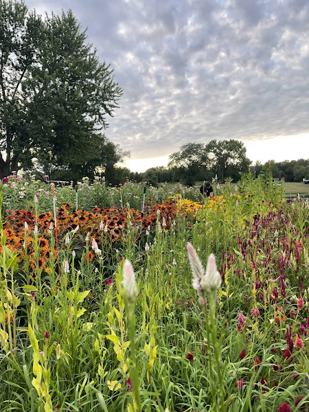 Sunrise Hill Flower Farm