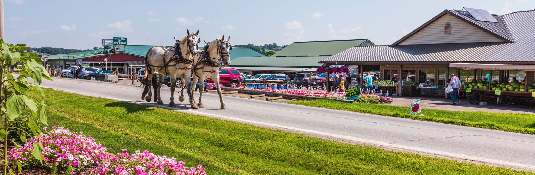 Hershberger's Farm and Bakery