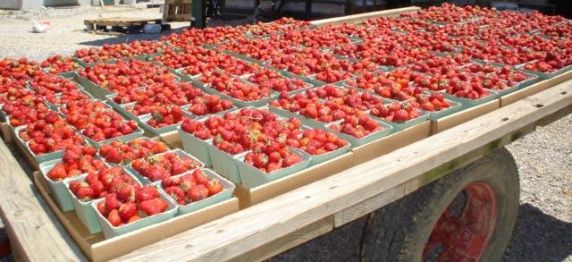Mayse Farm Market LLC photo 2