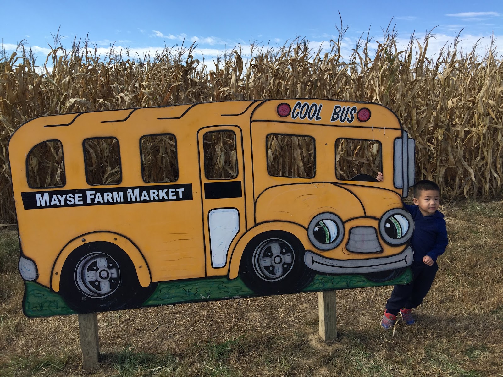 Mayse Farm Market LLC photo 3