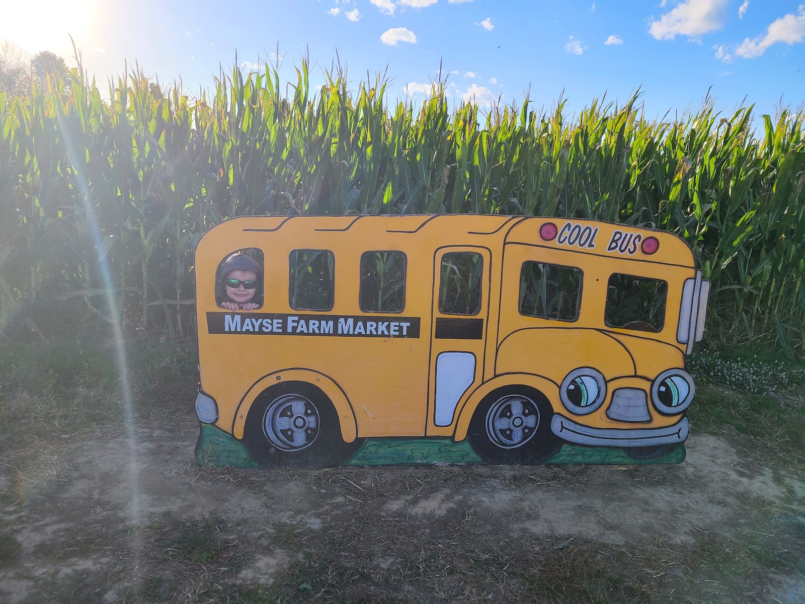 Mayse Farm Market LLC photo 5