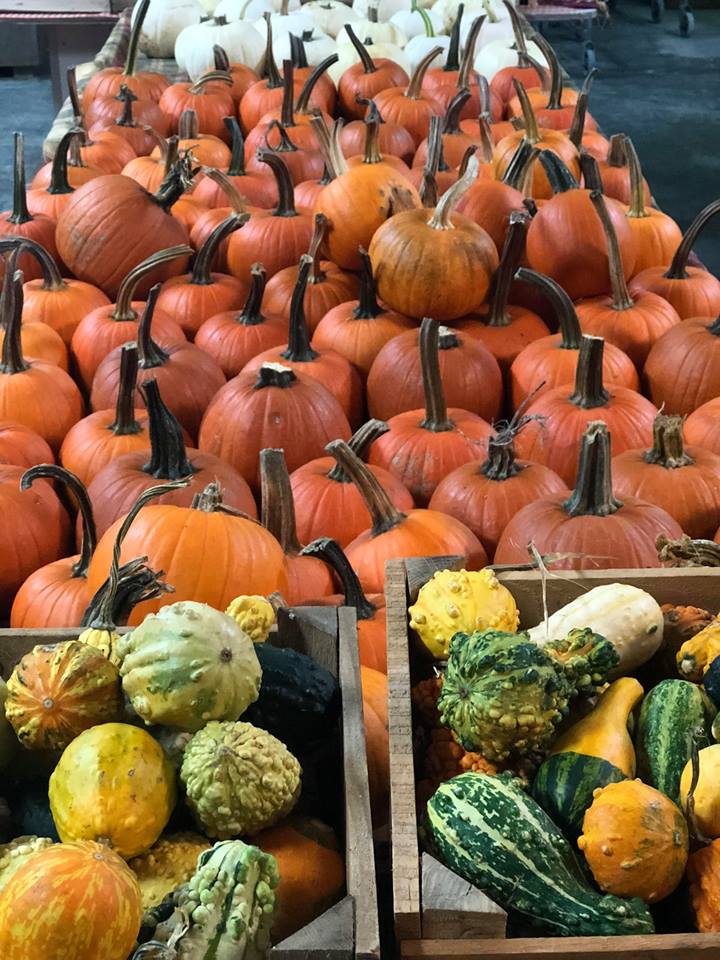 Mayse Farm Market LLC photo 6