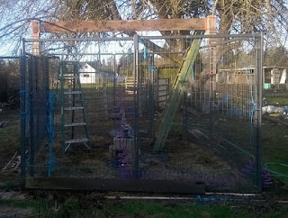 The Little Homestead