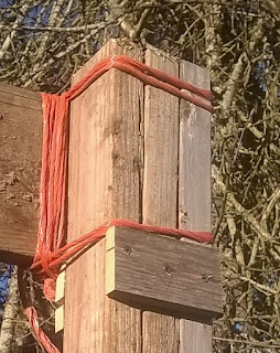 The Little Homestead photo 14