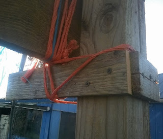 The Little Homestead photo 5