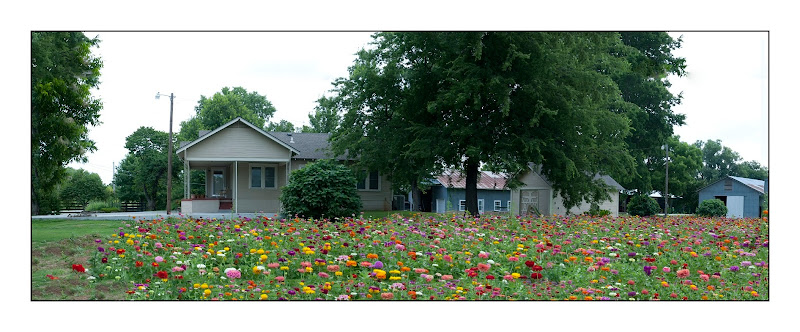 Joe's Farm photo 2