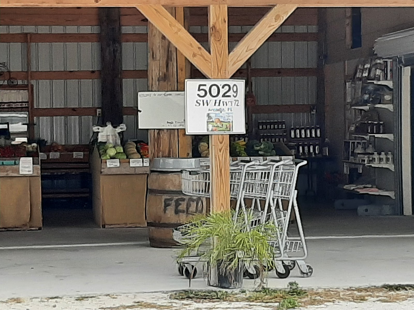 A&R Jersey Farm photo 4