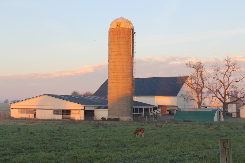 Miller’s Organic Farm Auburn AL Pickup