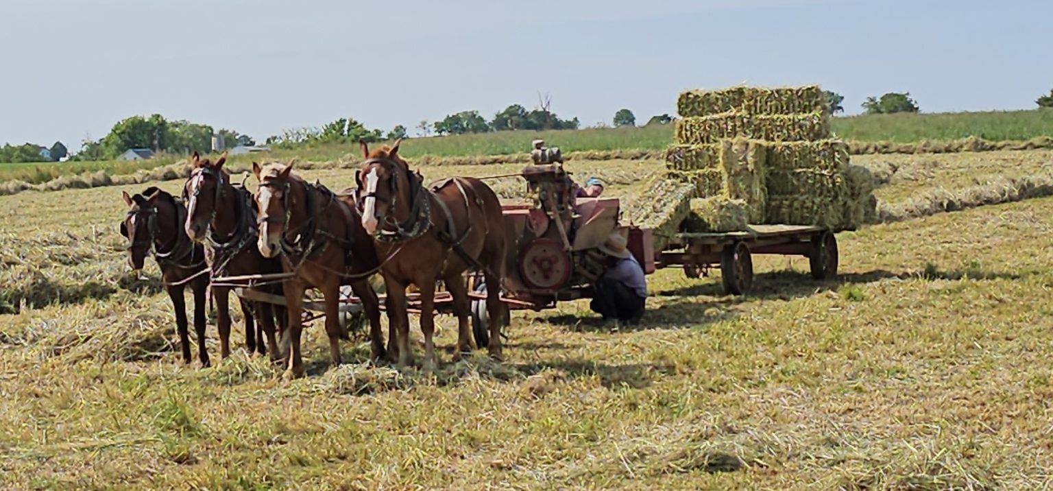 Miller’s Organic Farm Auburn AL Pickup photo 4