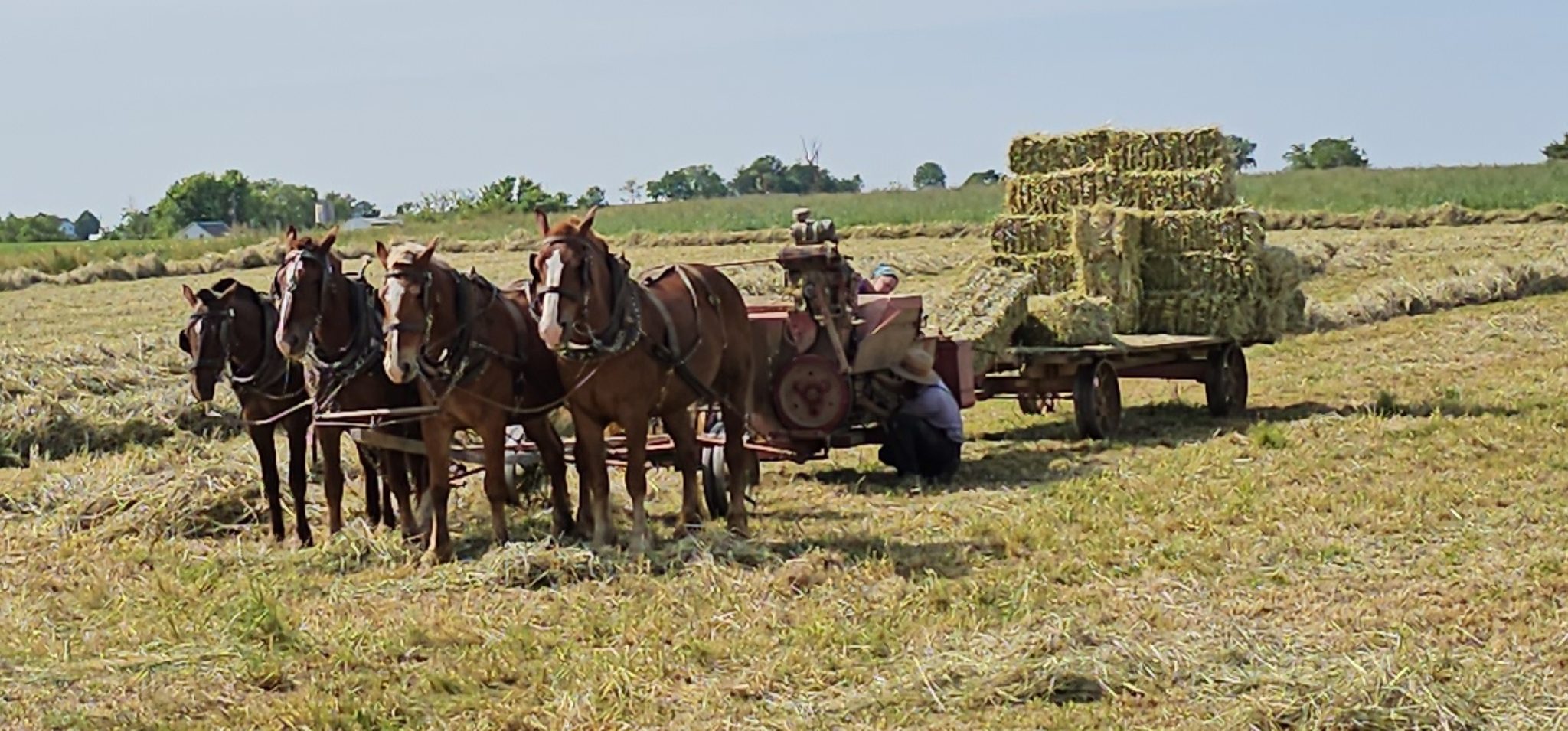 Miller’s Organic Farm Auburn AL Pickup photo 5