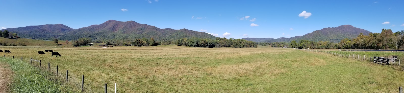 Dickie Brothers Orchard