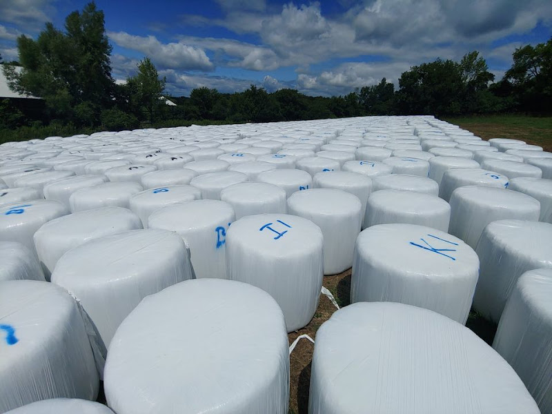 Oliver's Organic Eggs