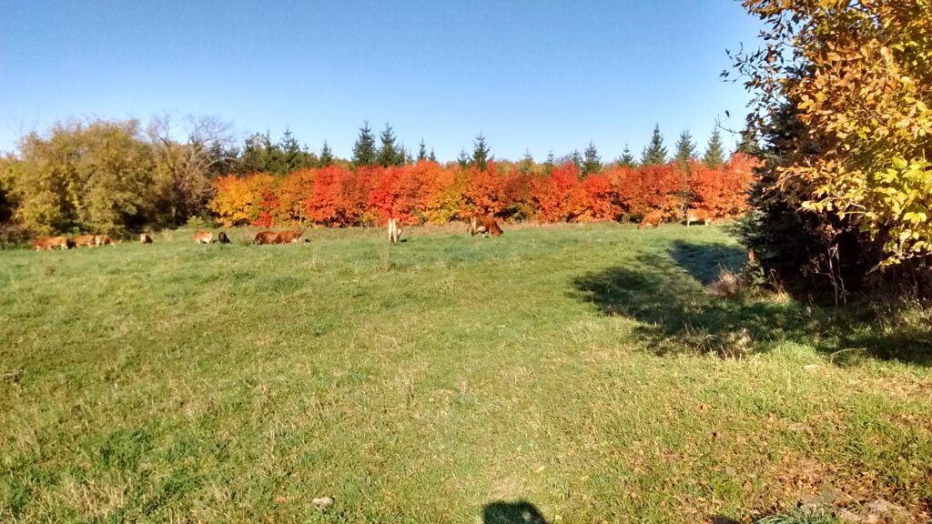 Fruitful Seasons Dairy