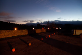 Rio Gozo Farm CSA photo 4