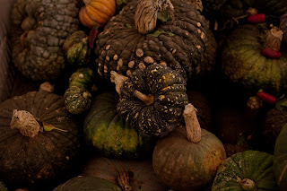 Rio Gozo Farm CSA photo 9