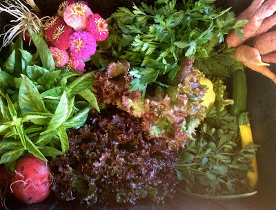 Rio Gozo Farm CSA photo 10