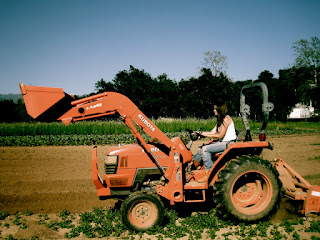 Rio Gozo Farm CSA photo 17