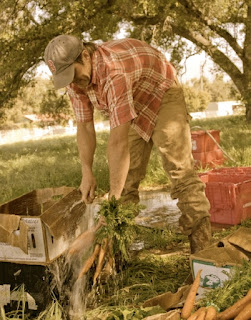 Rio Gozo Farm CSA photo 18