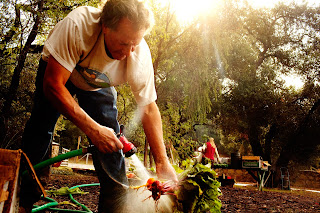 Rio Gozo Farm CSA photo 19