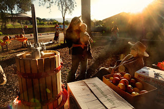 Rio Gozo Farm CSA photo 20