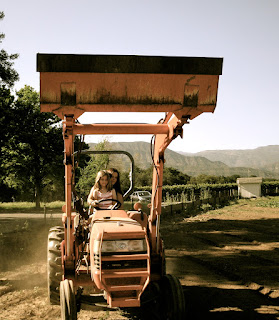 Rio Gozo Farm CSA photo 21