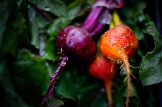 Rio Gozo Farm CSA photo 28