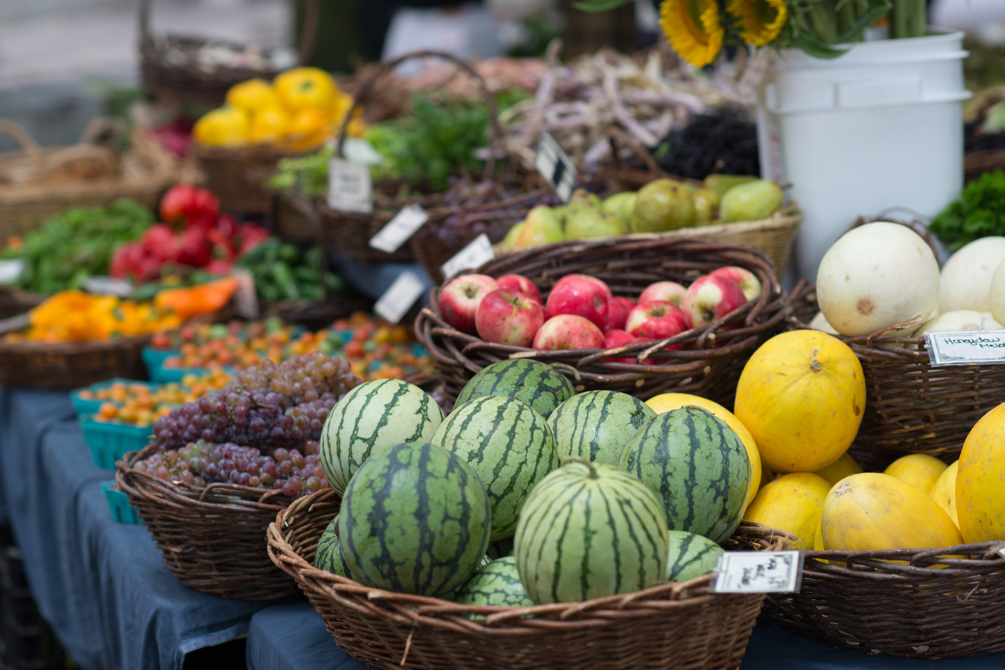 Portland Farmers Market - King