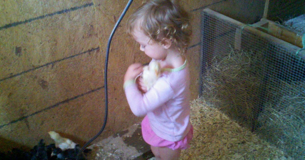 Dogwood Ridge Farm photo 4