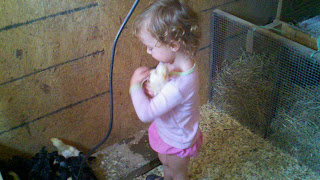 Dogwood Ridge Farm photo 5