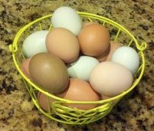 Dogwood Ridge Farm photo 8