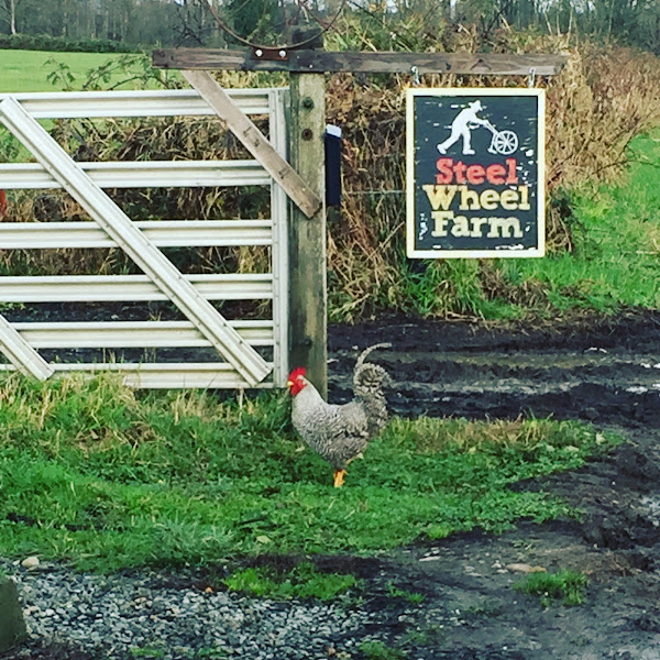 Snoqualmie Valley Farmers Cooperative