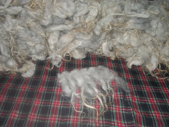 Red Tartan Woolies photo 19