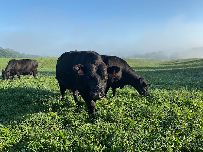 Pleasant Valley Family Farms