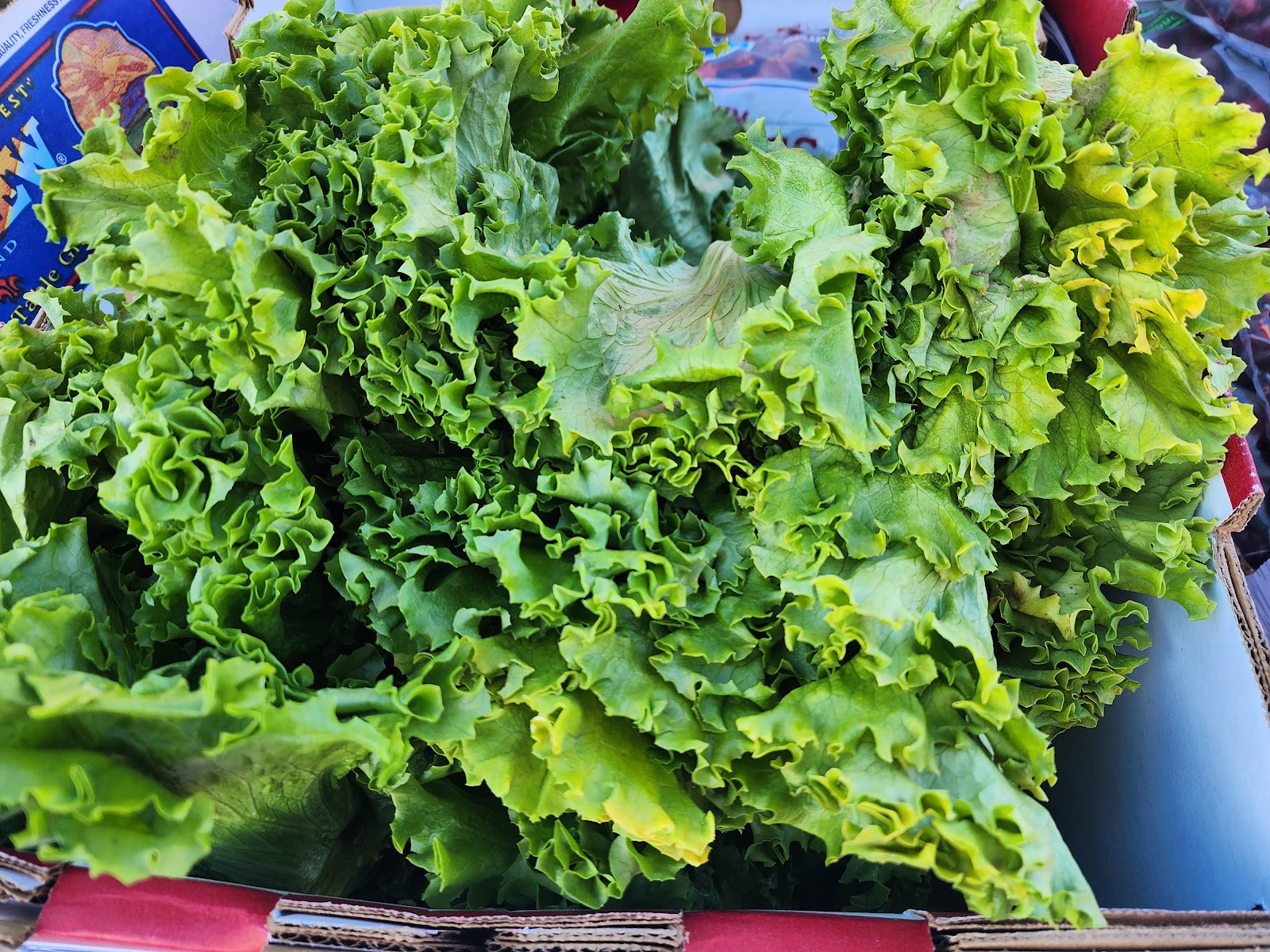 Casa Grande Farmers' Market