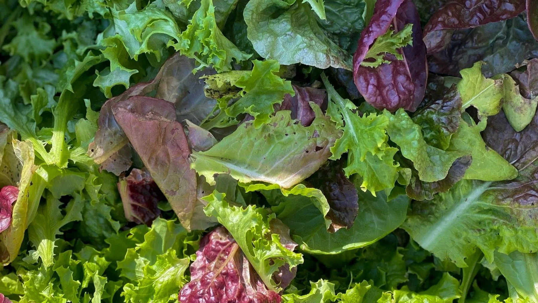 Oxford Community Market