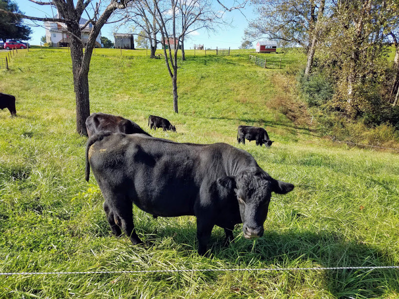 Longbottom Farm, LLC