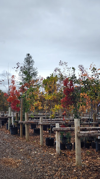 Farmers' Market at the Mall photo 2
