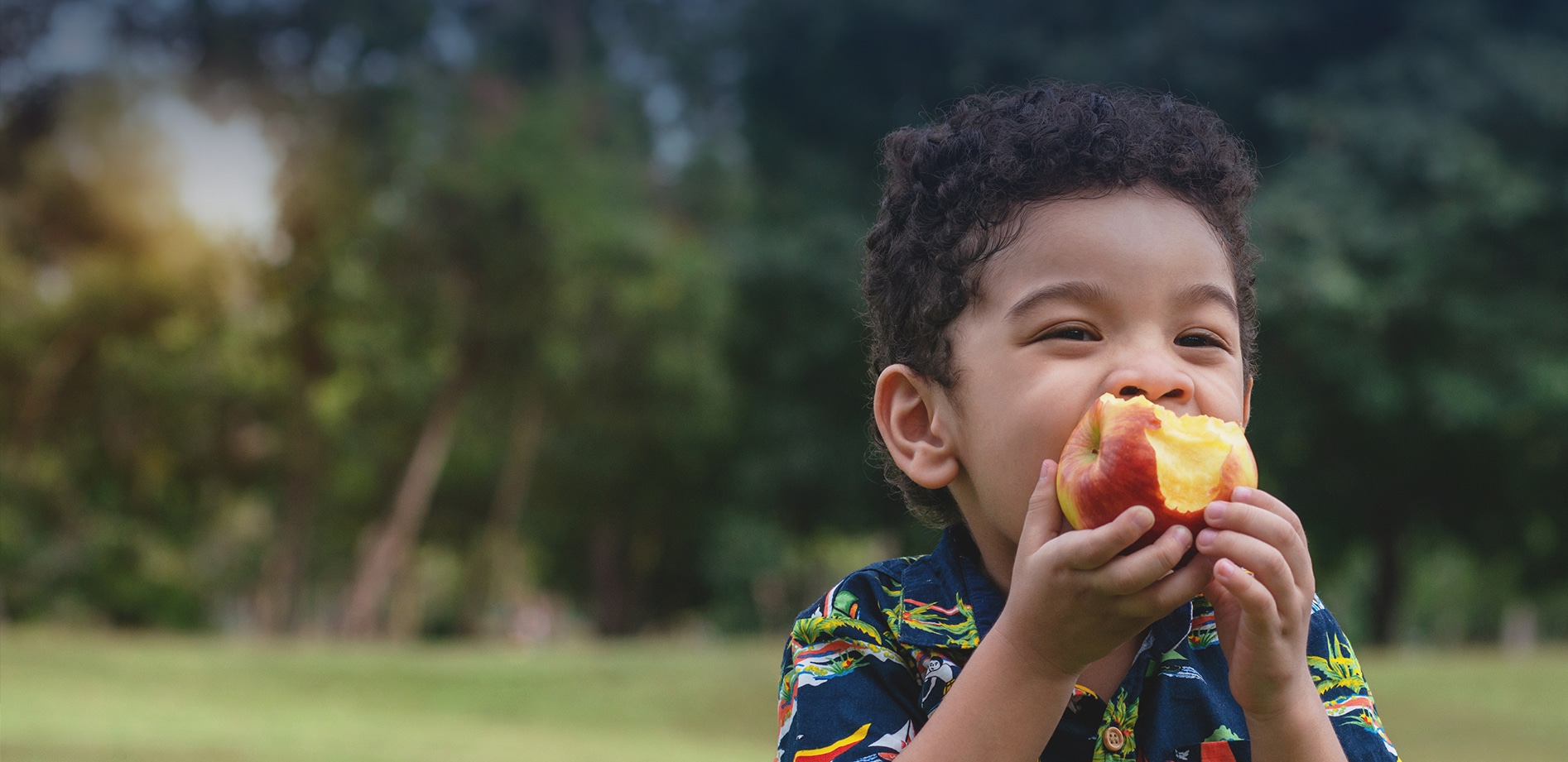 Greater Washington County Food Bank Farmers' Market