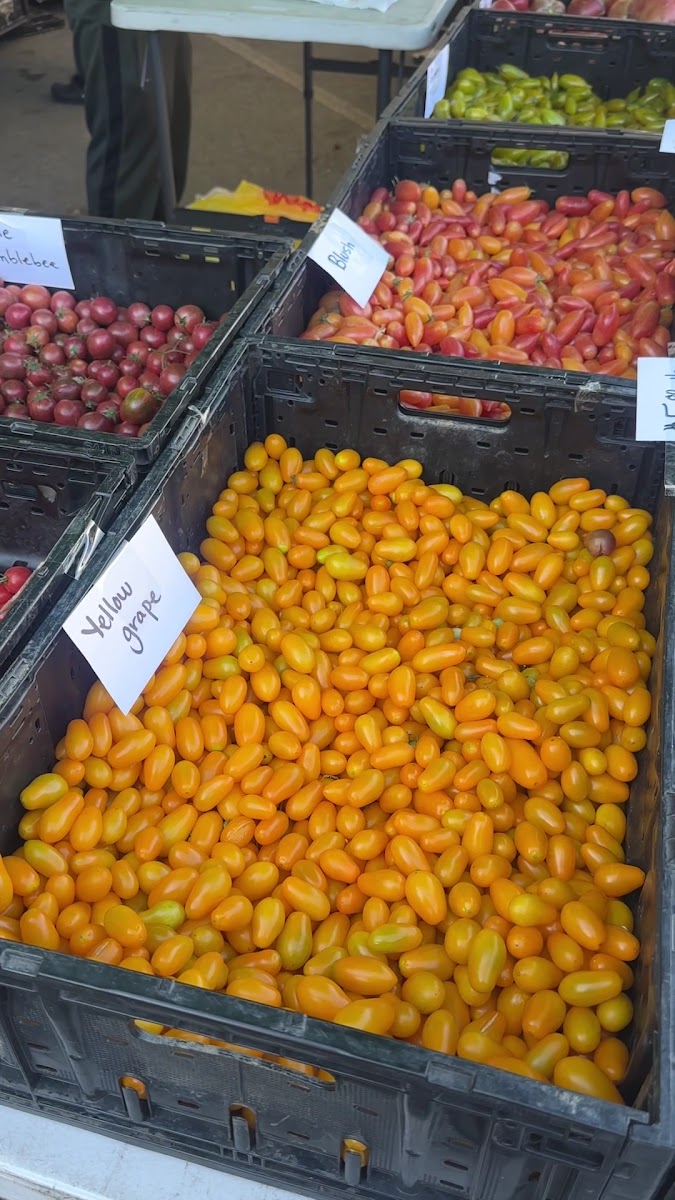 Alemany Farmers' Market photo 3