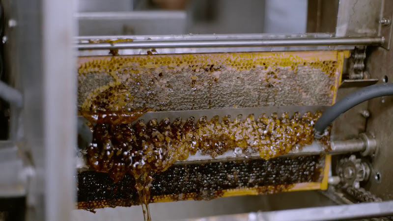 Desert Creek Honey photo 2