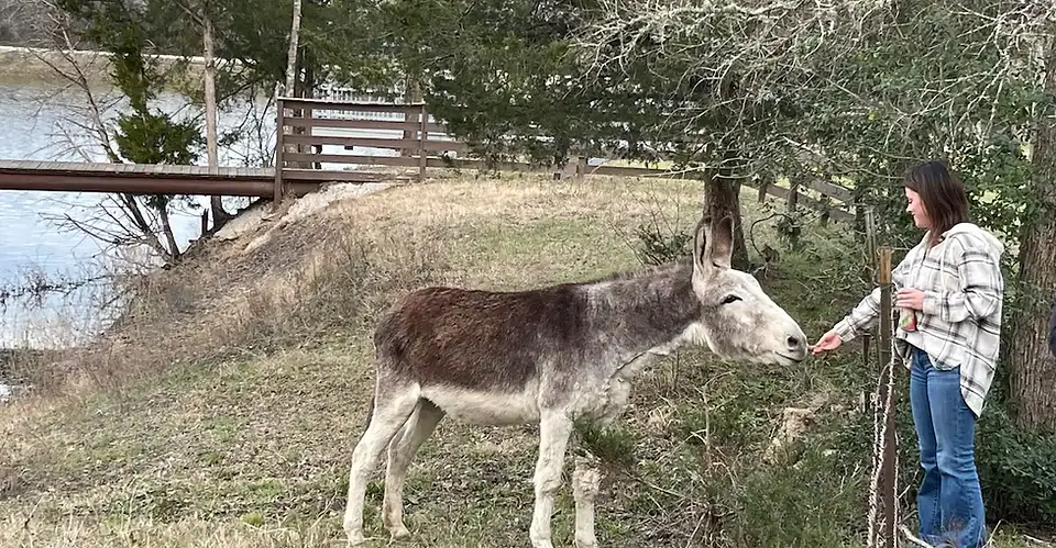 3 Points Ranch photo 8