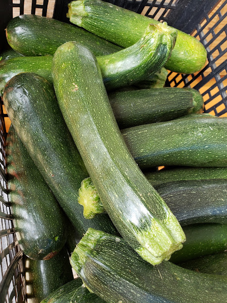 Urbana Farmstead - Farmer's Market, Kitchen, and Farm